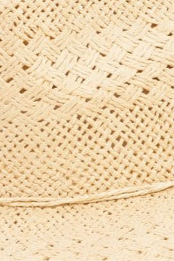 Sunkissed Braided Hat