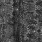 40dac40b-6a20-4d53-a175-beb3324143e7-Min