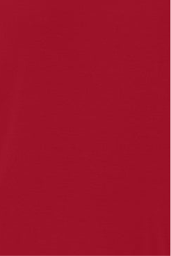 Closet Staple Crew Short Sleeve - Colors 1